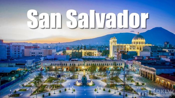 _߶I(lng)ȫBitcoin(w)Tнwϵ DƬ