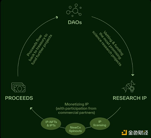 BanklessxBIOf(xi)hDeSciĴDƬ