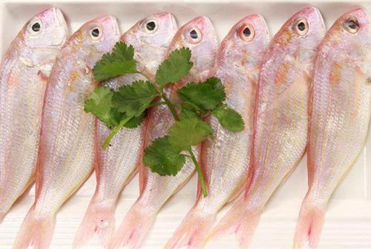 越南冷凍金線魚進口報關資料