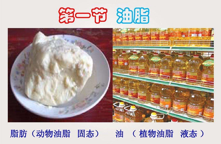 動物油脂進(jìn)口報關(guān)