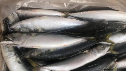 冷凍魚進(jìn)口報(bào)關(guān)流程_進(jìn)口冷凍魚到國內(nèi)報(bào)關(guān)的注意事項(xiàng)