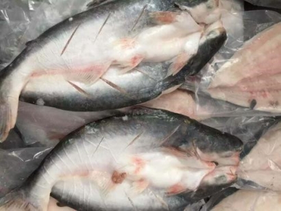 越南巴沙魚進口報關代理流程手續以及費用