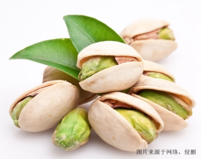 食品進口報關運輸代理_廣州臻力提供全方位服務