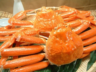 進(jìn)口澳大利亞雪蟹報關(guān)公司告訴你海鮮進(jìn)口報關(guān)流程