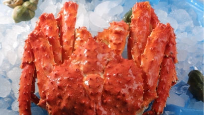 青島進口俄羅斯帝王蟹清關流程-水產(chǎn)品報關行