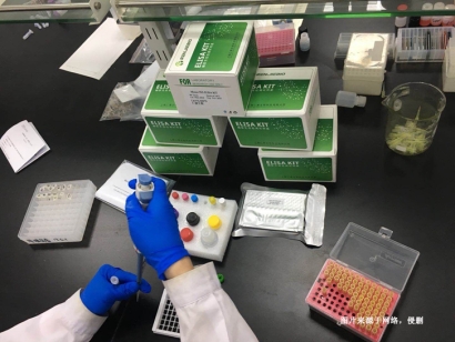 日本細胞培養試劑進口報關流程-19年生物試劑報關行