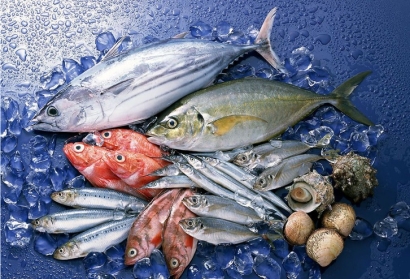 水產品進口清關所需資料流程_越南沙丁魚報關代理