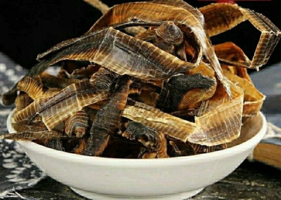 進(jìn)口泰國地龍報(bào)關(guān)資料_蚯蚓干中藥材進(jìn)口清關(guān)代理