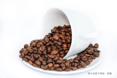 寧波專業食品進口報關清關，廣州臻力助您暢通無阻