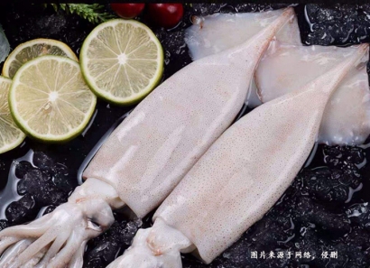 巴基斯坦魷魚進口報關(guān)資料到上海洋浦港冷凍魚案例