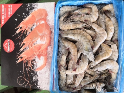 厄瓜多爾冷凍蝦進口清關流程手續及注意事項