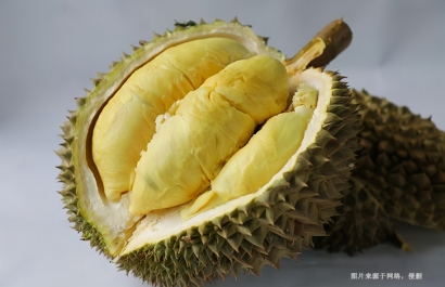 進口榴蓮到廣州清關要求_泰國榴蓮進口清關流程