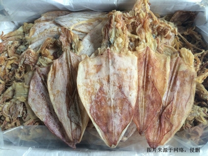 秒懂越南魷魚干進(jìn)口清關(guān)資料_廣州魷魚干報關(guān)流程