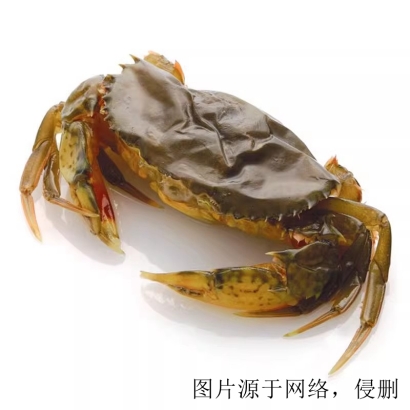 馬來西亞青蟹進(jìn)口清關(guān)流程_深圳水產(chǎn)品螃蟹報(bào)關(guān)資料
