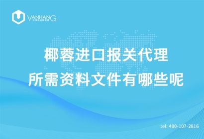 椰蓉進口報關代理所需資料文件有哪些呢?