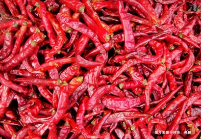 深圳進(jìn)口印度辣椒干報(bào)關(guān)資料_辣椒干進(jìn)口通關(guān)要點(diǎn)