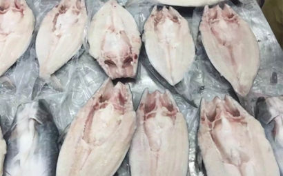 了解！進(jìn)口越南巴沙魚代理報關(guān)報檢流程