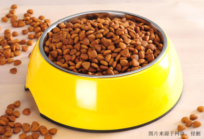 寵物食品進口報關代理基本流程解析