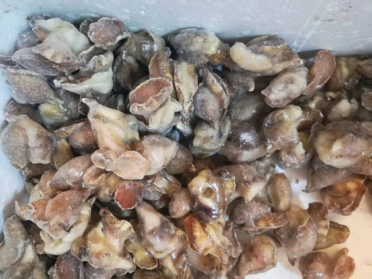 廣州南沙港進口英國冷凍水產(chǎn)品報關