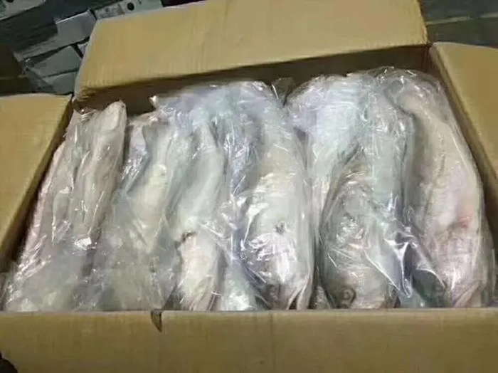 1673604715529680.jpg 越南巴沙魚進口清關_副本.jpg