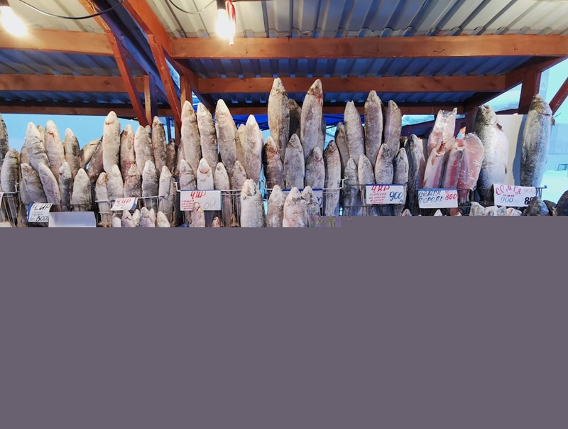 菲律賓凍魚進(jìn)口報(bào)關(guān)_副本.jpg